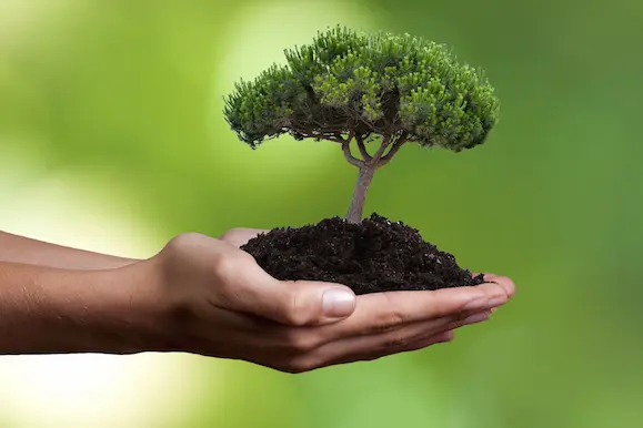 Citizen science e biodiversità: la tecnologia al servizio della natura